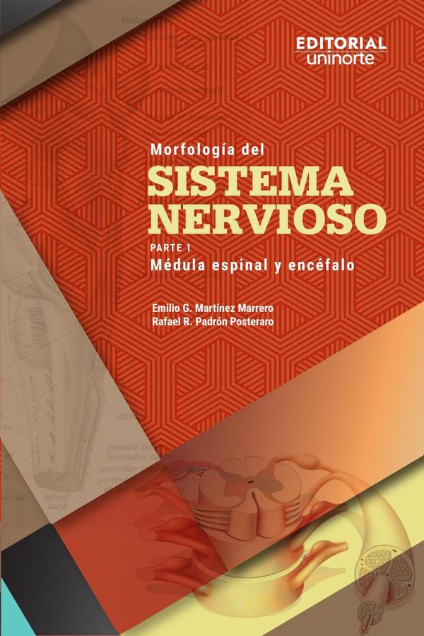 Morfología del sistema nervioso:Parte 1: médula espinal y encéfalo