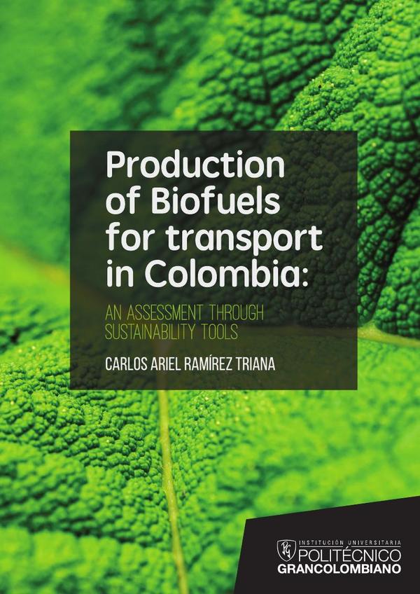Production of biofuels for transport in Colombia:An assessment through sustainability tools