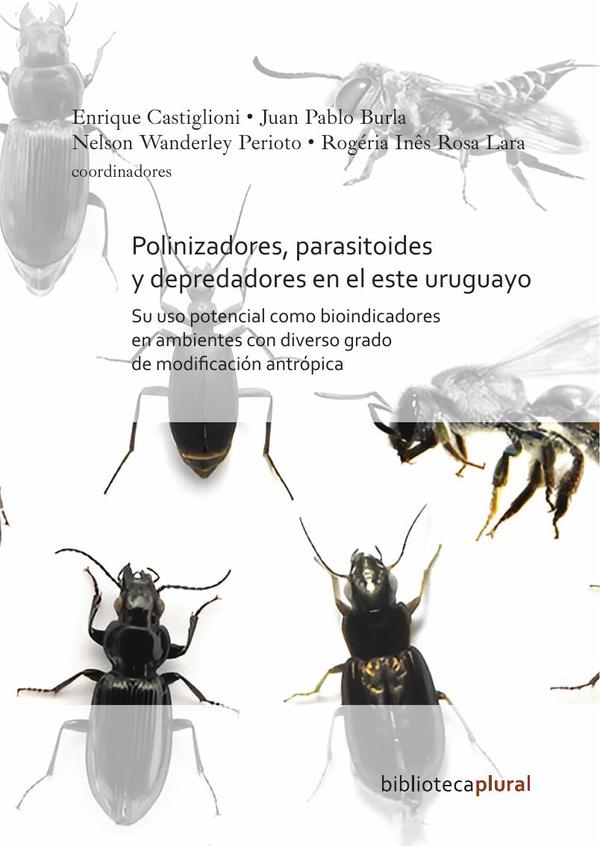 Polinizadores, parasitoides y depredadores en el este uruguayo:Su uso potencial como bioindicadores en ambientes con diverso grado de modificación antrópica