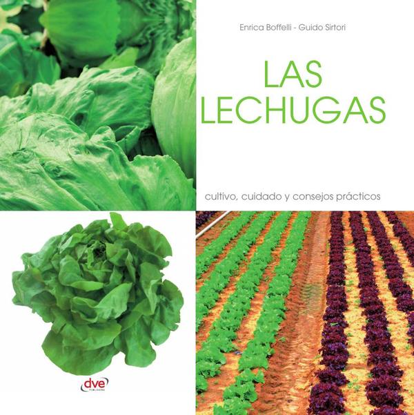 Las lechugas
