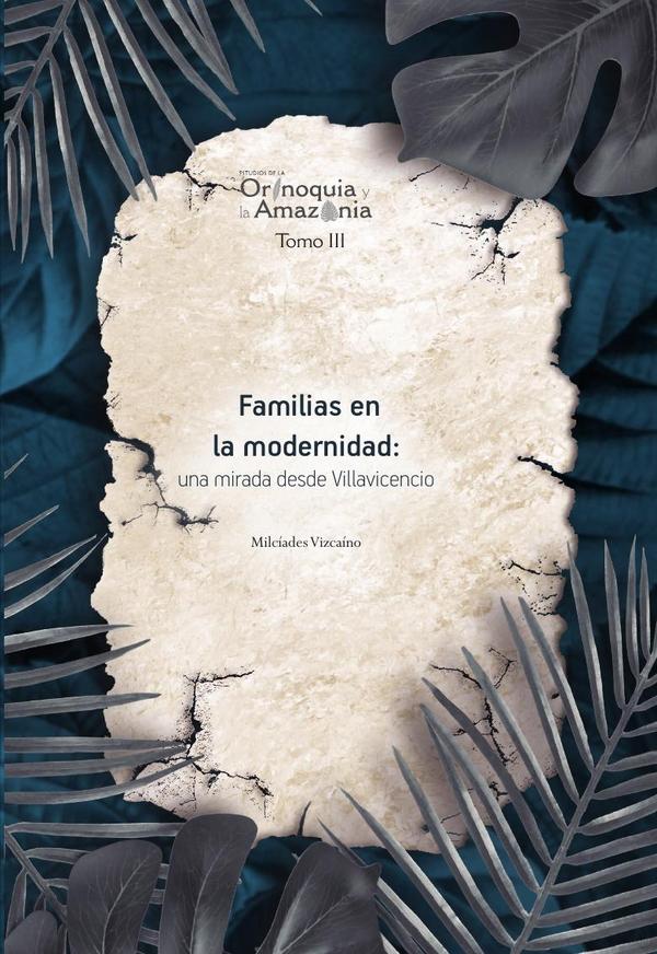 Familias en la modernidad: una mirada desde Villavicencio – Orinoquia Tomo 3