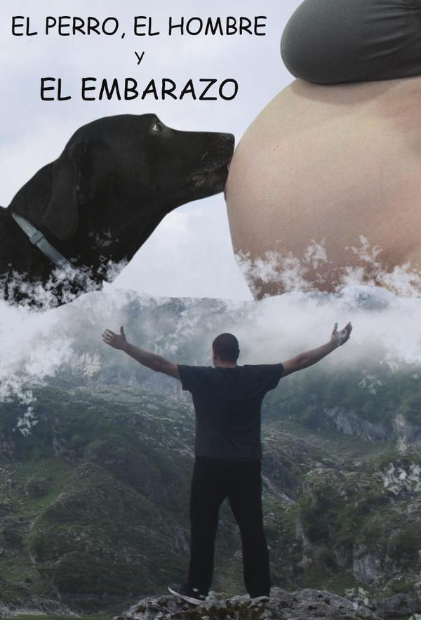 Los perros el hombre y el embarazo